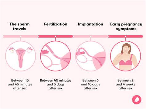 Sex after pregnancy: Set your own timeline